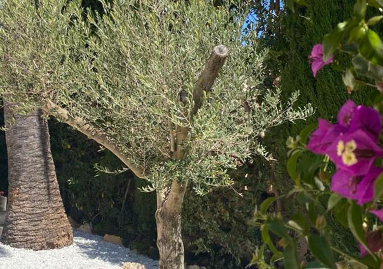 Holiday Villa Moraira Luaran gambar